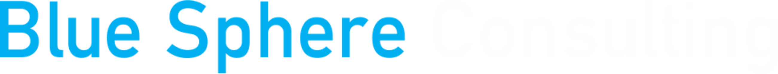 BlueSphere Consulting